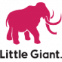 Little Giant Design Ltd